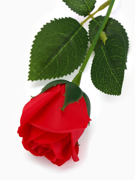 Мыльная роза красная в коробке - SB BEAUTY фото 6