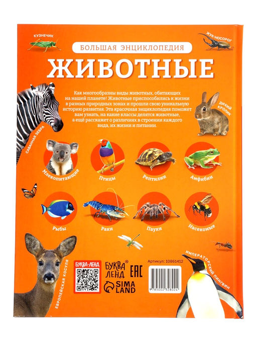 Энциклопедия в твёрдом переплёте "Животные", 128 страниц