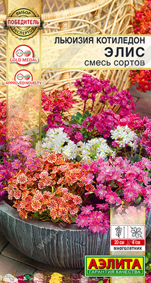 2016A Льюизия котиледон Элис, смесь сортов 5шт