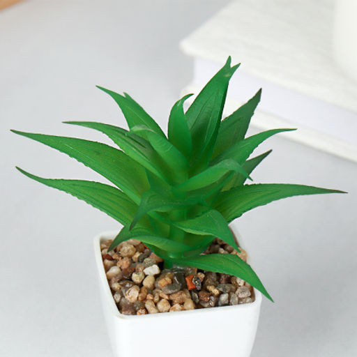 Цветочная композиция Кактус / WER-19 /уп 12/192/ микс - Галеонтрейд фото 3