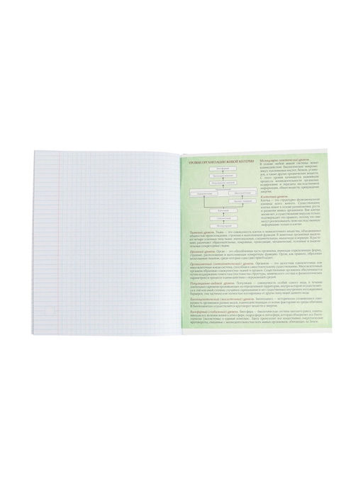 Тетрадь предметная Герб, 48 листов в клетку Биология, обложка мелованный картон, Уф-лак, блок офсет - Calligrata фото 10