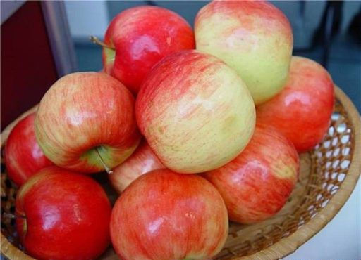 Беркутовское(зимнее)
