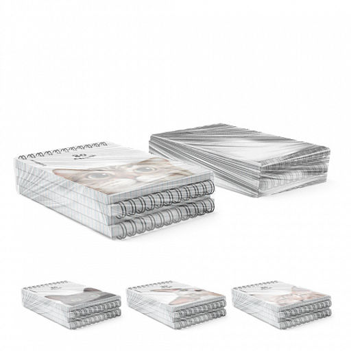 Цена за 4 шт. Блокнот на спирали ErichKrause Котики, А6, 80 листов, клетка_MIX-PACK  фото 8