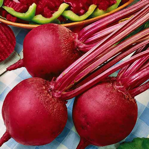 6274U Свекла столовая Бикорес 1гр