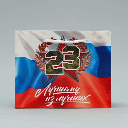 Цена за 3 шт. Пакет подарочный ламинированный, упаковка, «С 23 февраля», S 15×12×5.5 см