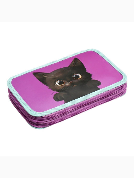 Пенал школьный, 2 секции, 12.5×20.5×4 см «Котик черный»