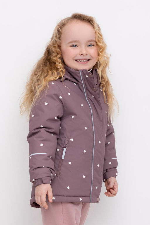 ВК 38111/н/3 ГР куртка для дев