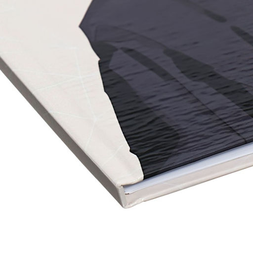 Дневник школьный для 1-11 классов «Аниме. Парень и небо», твёрдая обложка, глянцевая ламинация, 40 листов