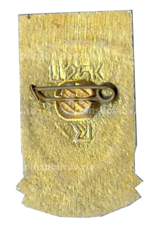 Значок Волочиск