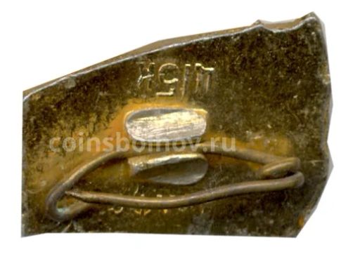 Значок Алма-Ата