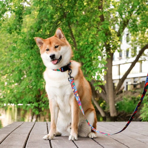 Поводок Невозможно слиться с улицей, 2.5 см, 1.5 м - Пушистое счастье фото 2