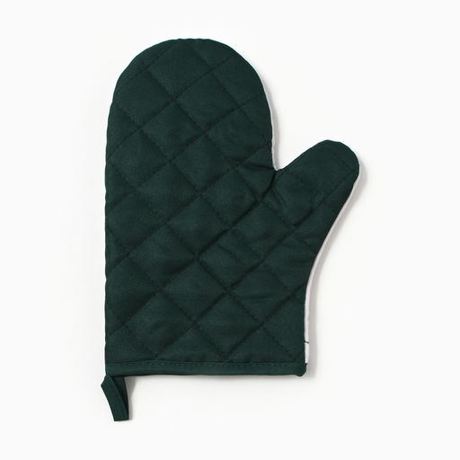 Варежка - прихватка «Доляна. Алоэ вера», 20×27 см