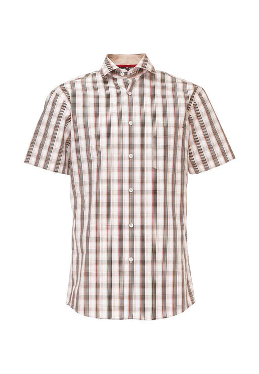 Сорочка мужская короткий рукав GREG Gb145/101/623/Z/1  фото 4