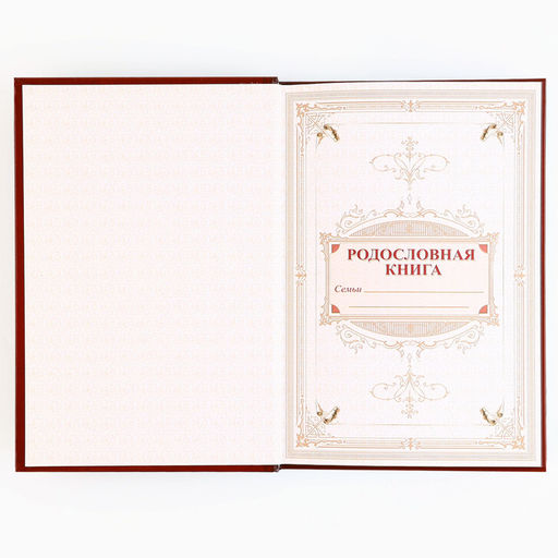 Родословная книга новогодняя «Дед Мороз» 17×2×23.7 см