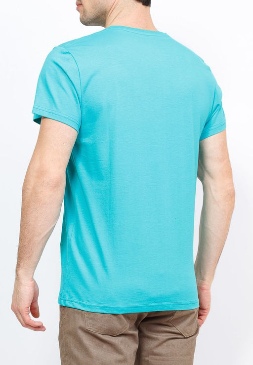 Футболка мужская короткий рукав GREG TS524V (ментол)  фото 3