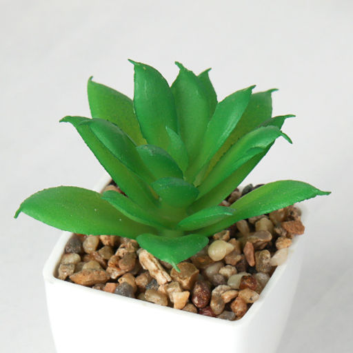 Цветочная композиция Кактус / WER-19 /уп 12/192/ микс - Галеонтрейд фото 17