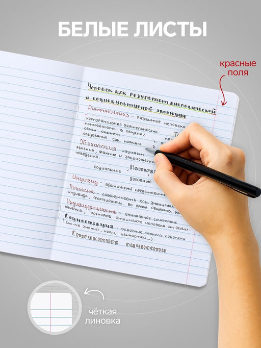 Цена за 20 шт. Тетрадь 24 листа в линейку, Calligrata «Аниме 07», МИКС