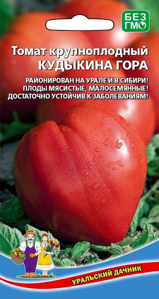 Томат КУДЫКИНА ГОРА Районирован на Урале и в Сибири! Плоды мясистые, малосемянные! Достаточно устойчив к заболеваниям!