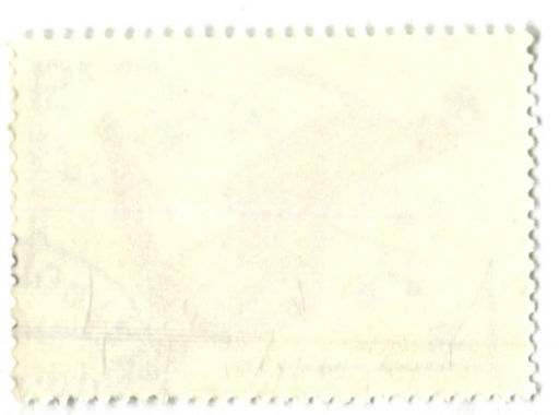 Марка XIII Олимпийские Зимние Игры Лейк-Плэсид  Лыжи 1980 год