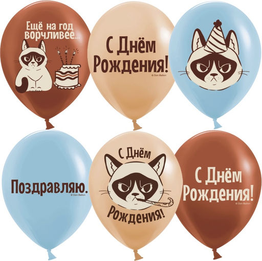 Воздушные шары латексные 12" "С Днем Рождения! (Сердитая кошка)" 2 ст., МИКС, набор 25 шт.