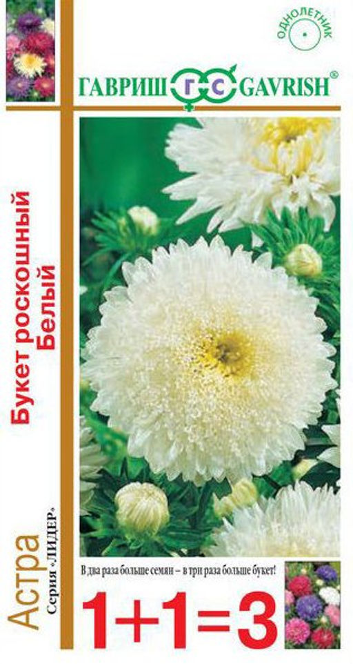 Букет роскошный белый астра 0,5г (г)