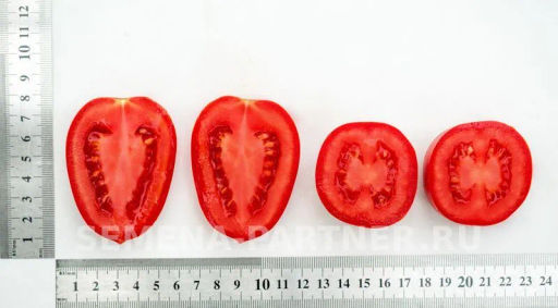 Томат Марселон - Партнер фото 7