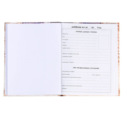 Дневник школьный для 1-4 классов, «Котёнок», твёрдая обложка 7БЦ, глянцевая ламинация, 48 листов