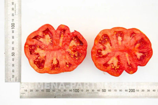 Томат Кахури - Партнер фото 5