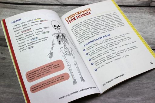 Книга о теле человека с полезными заданиями и упражнениями - Эксмо фото 6