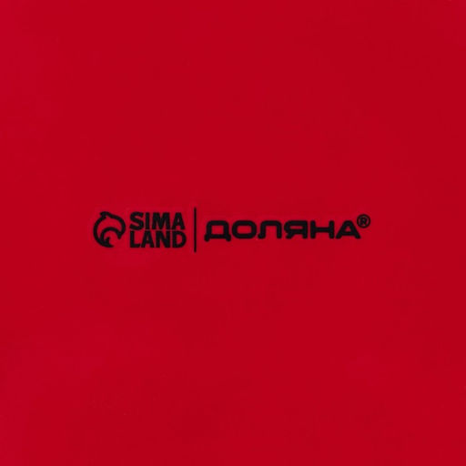 Блинница новогодняя Доляна «Парк аттракционов», d=23 см, керамика, цвет белый