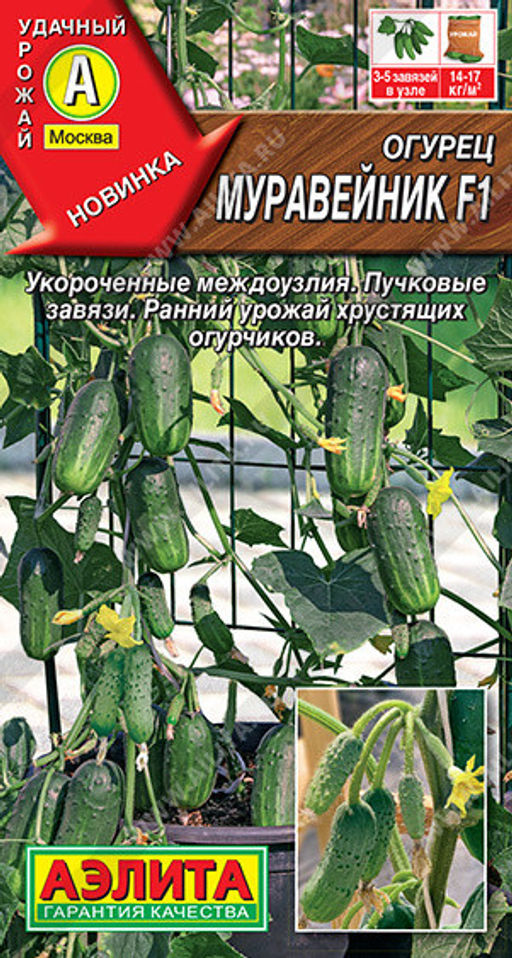 0676A Огурец Муравейник F1 10шт