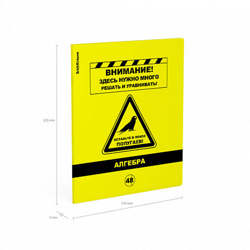 Цена за 5 шт. Тетрадь общая ученическая с пластиковой обложкой на скобе ErichKrause Be Informed, Алгебра, 48 листов, клетка  фото 4