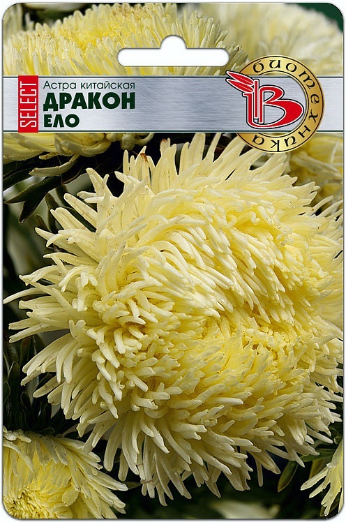 Астра китайская Дракон селект Вайт - Биотехника фото 4