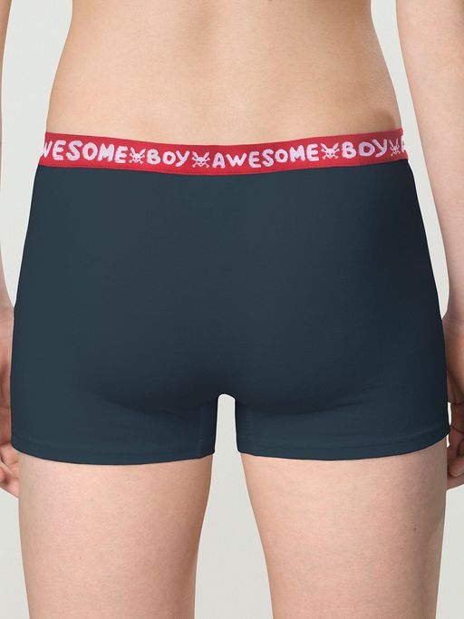 BUHB4307(2шт. в упаковке) трусы для мальчиков - Pelican фото 5