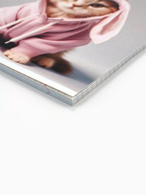 Цена за 3 шт. Тетрадь в клетку, 48 л., А5, на скрепке, блок №2 Котики МИКС - Artfox study фото 2