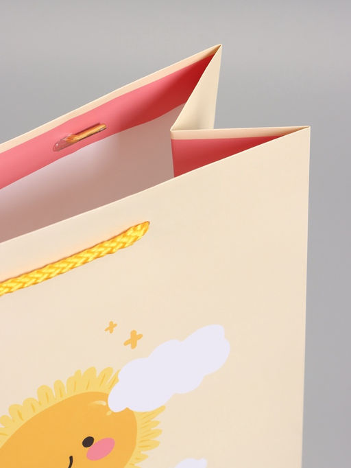 Пакет подарочный ламинированный «Настоящее солнышко», 26×12×32 см