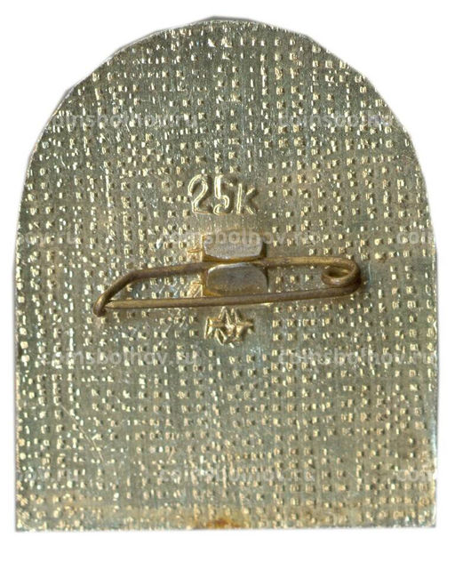 Значок Иркутск  Белый Дом XIX века