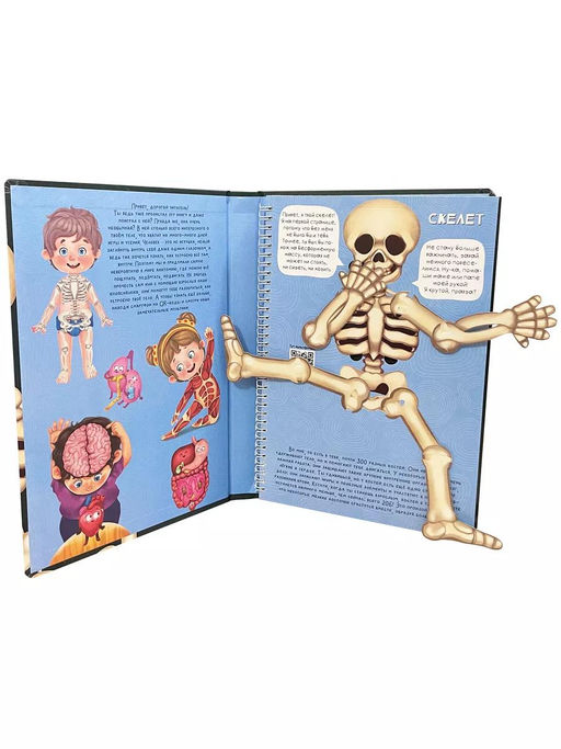 Интерактивная энциклопедия. Знакомься: твое тело - BimBiMon фото 3