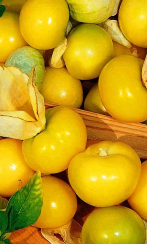 Физалис КОНДИТЕР Чудо-находка для сладкоежек! Яркий, ягодно-клубнично-ананасовый вкус! Дети его просто обожают!