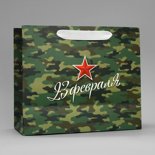 Цена за 2 шт. Пакет подарочный ламинированный, упаковка, С 23 февраля, ML 27?23?11.5 см