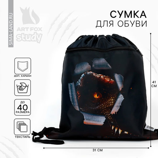 Мешок для обуви, DANGER, (с карманом) 41×31 см
