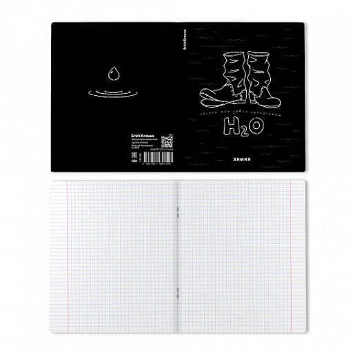 Цена за 5 шт. Тетрадь общая ученическая с пластиковой обложкой на скобе ErichKrause Зри в корень, Химия, 48 листов, клетка  фото 2