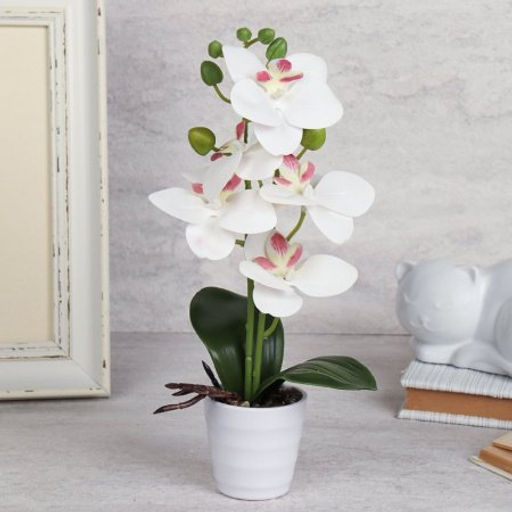 Цветочная композиция Орхидея 31 см / LM-797 /уп 72/ - Галеонтрейд фото 6