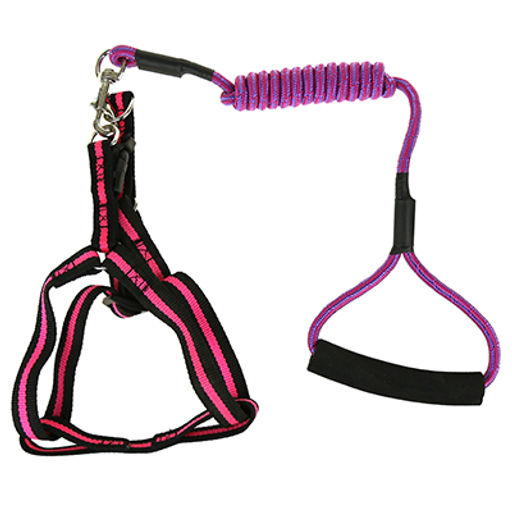 Поводок для собаки 130х0,5см со шлейкой, полиэстер Классический цвета микс (Китай) - Pet toys фото 5