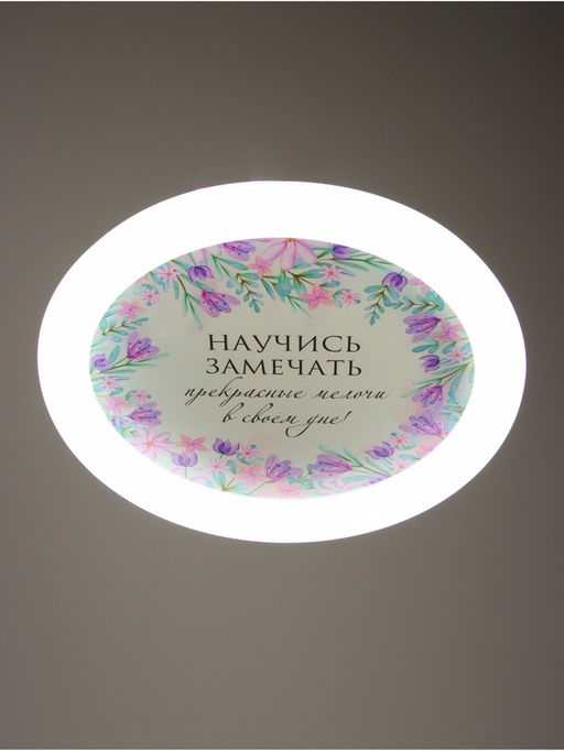 Потолочный светильник светодиодный BayerLux «Цветы», 120 Вт, LED, 49.5×49.5×6.5 см