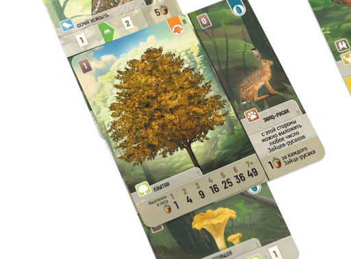 Смешанный лес