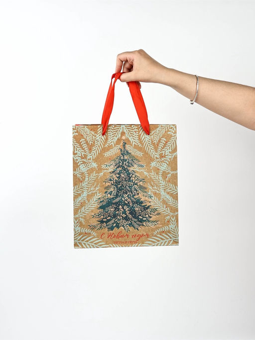 Набор пакетов крафтовых «Новогоднее поздравление»