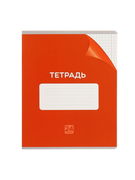 Набор тетрадей 24 листа в клетку Calligrata "Сочный Микс. Паттерн", серые листы, МИКС, 10 шт.