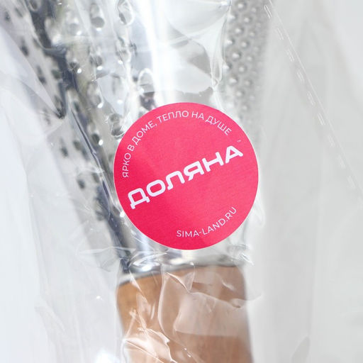 Тёрка Доляна Forest, 24×11,5 см, силиконовое основание, цвет чёрный, коричневый