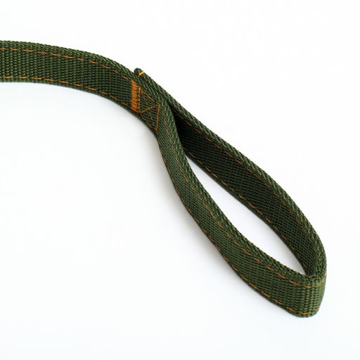 Поводок двухслойный с усиленным карабином, 3 м х 2,5 см, зелёный - Пижон фото 3